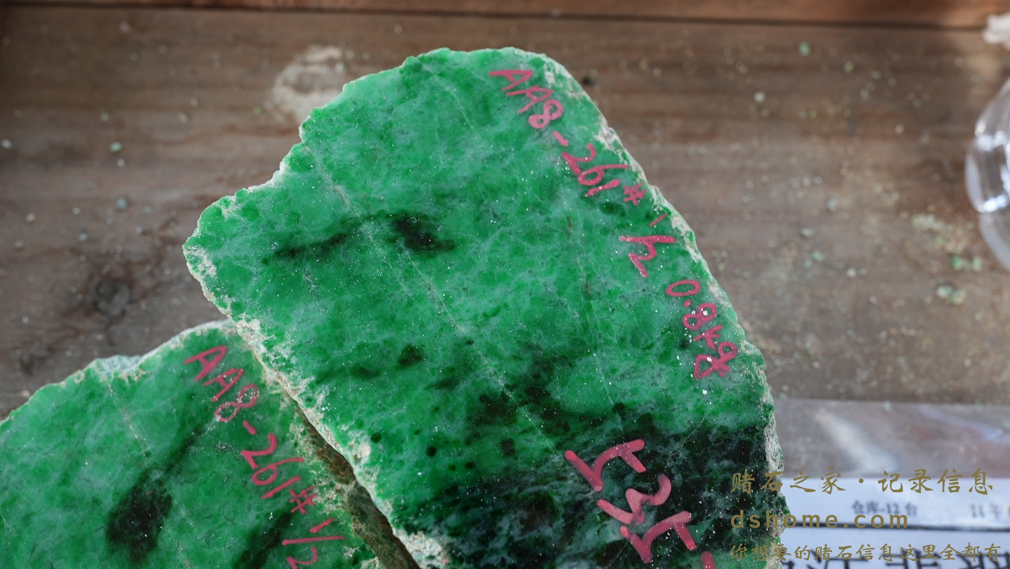 DSC01119.JPG