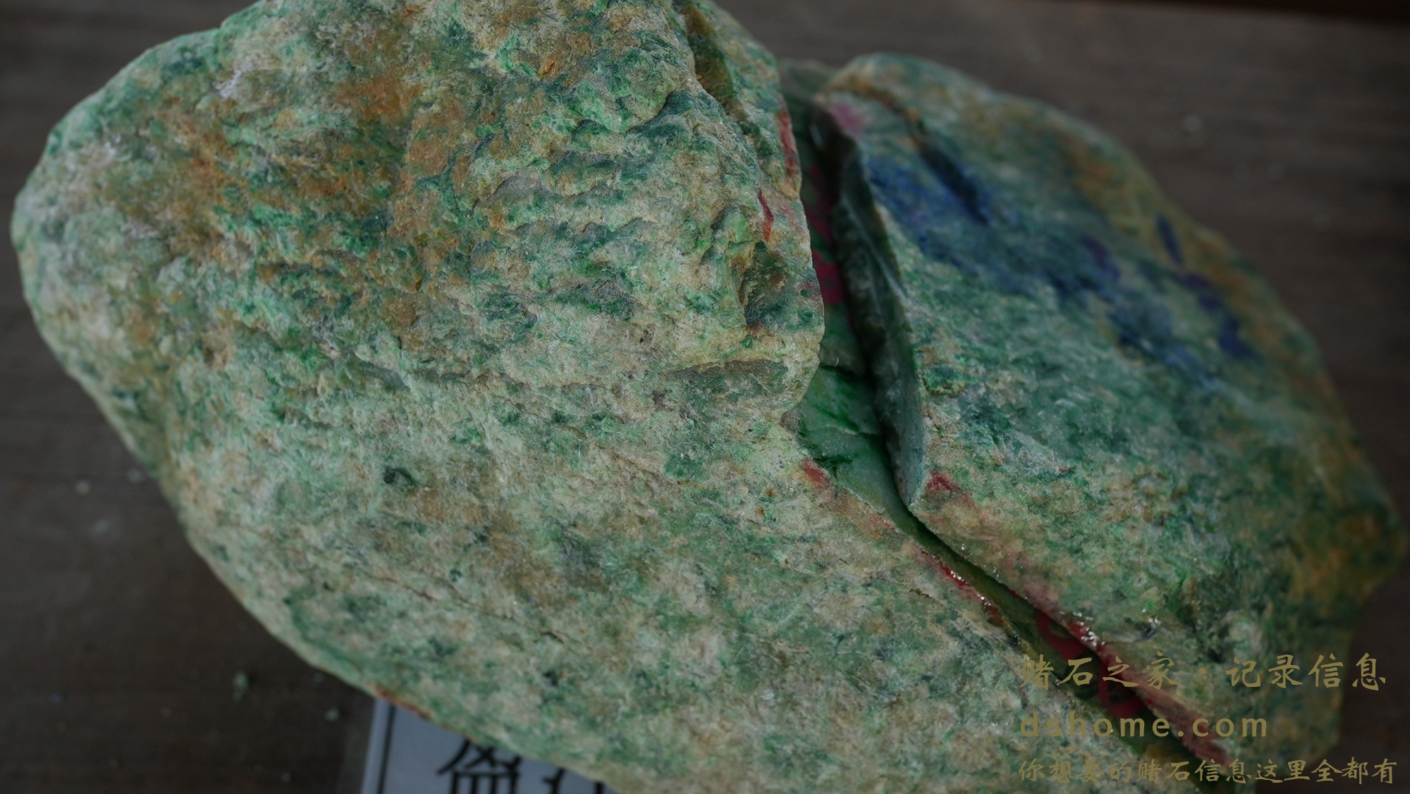 DSC01132.JPG