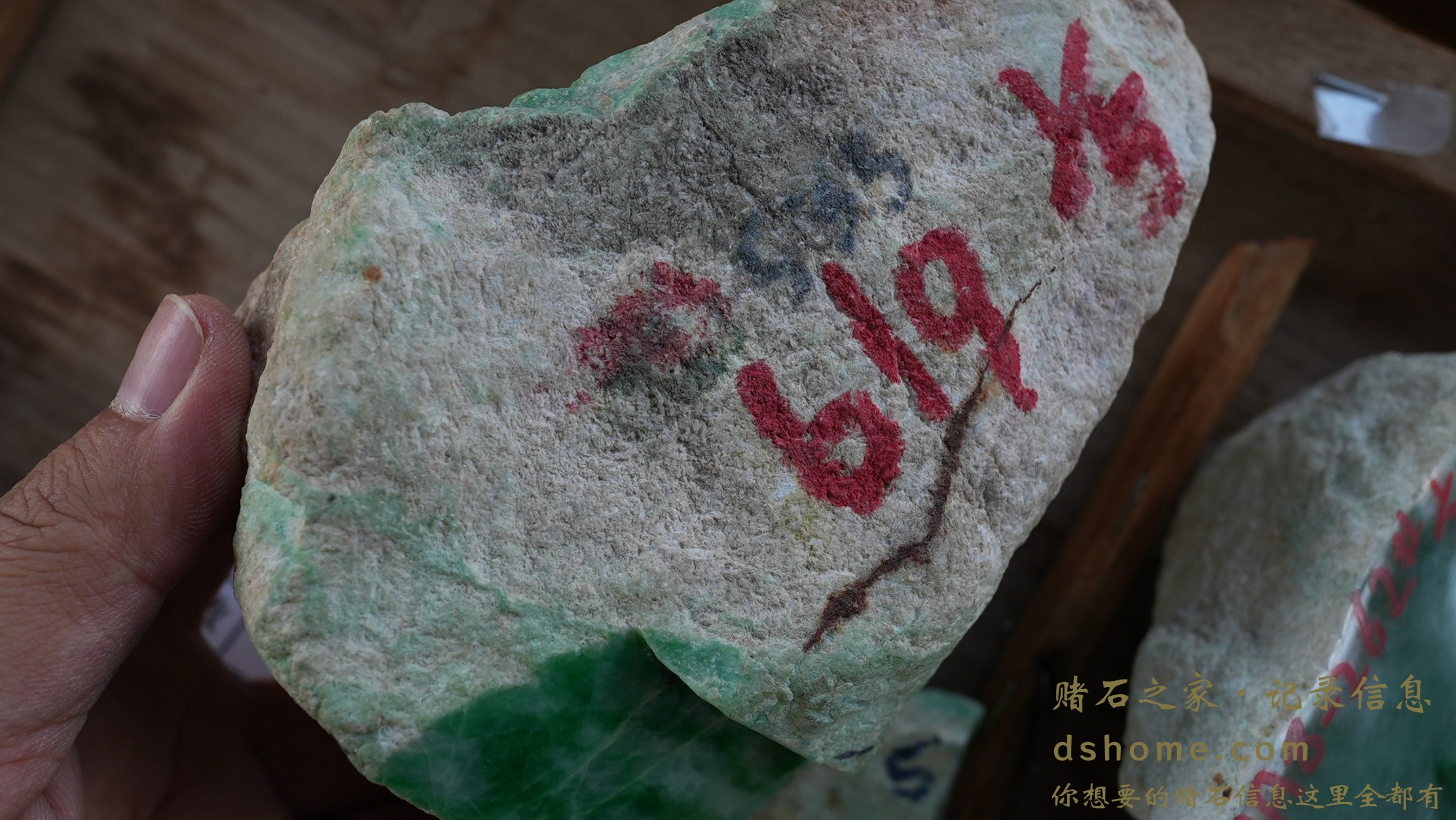DSC01216.JPG