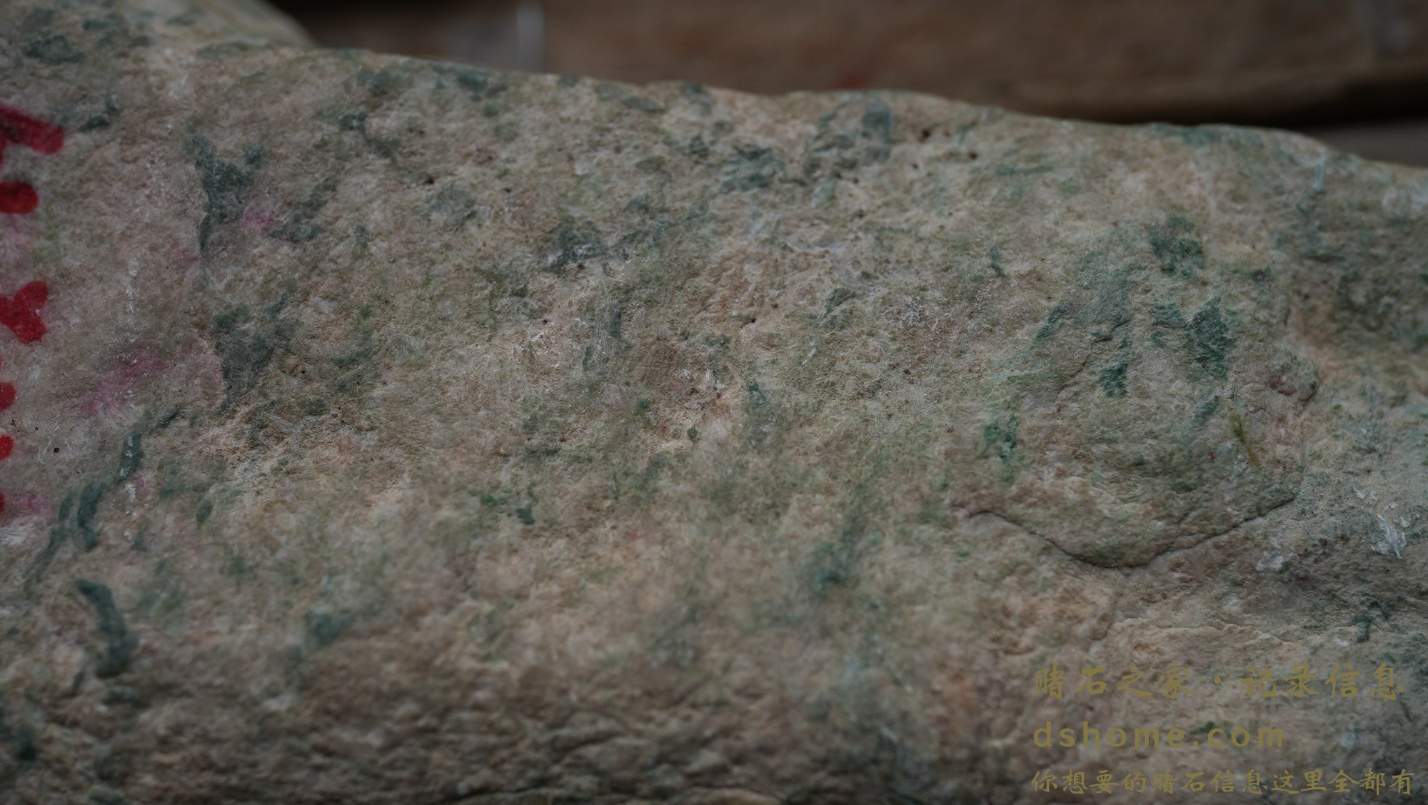 DSC01587.JPG