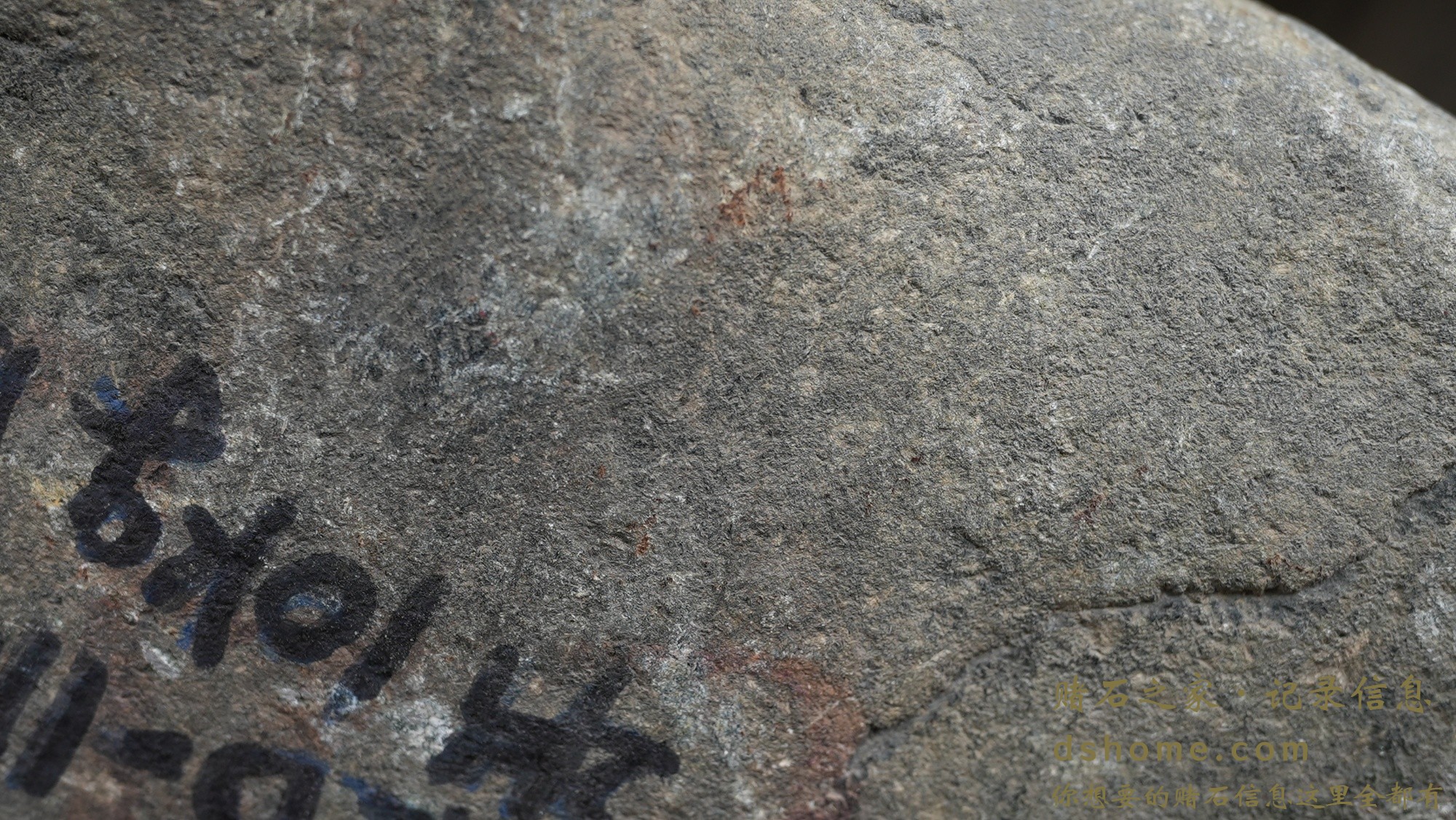 DSC01643.JPG