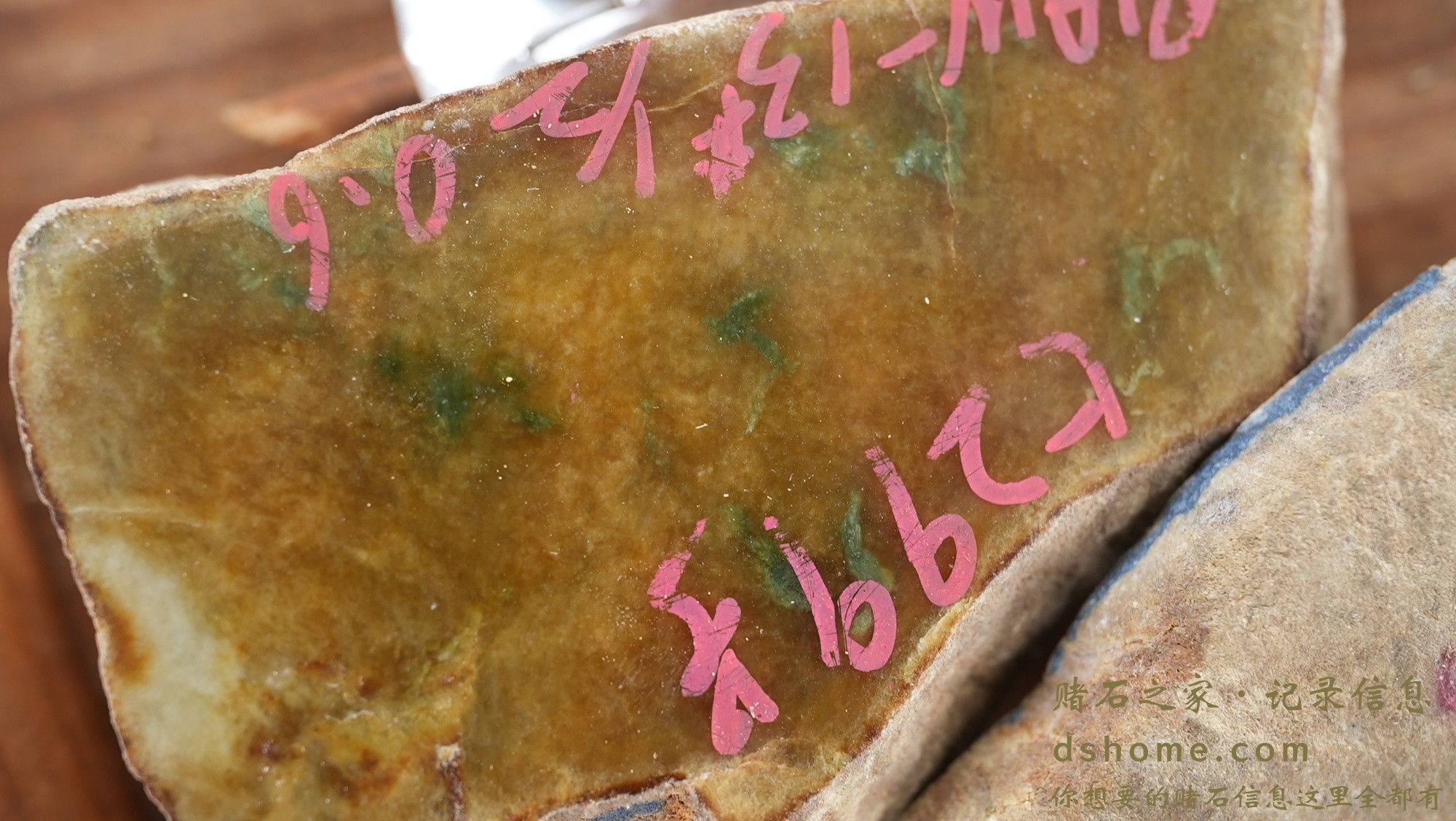DSC01720.JPG