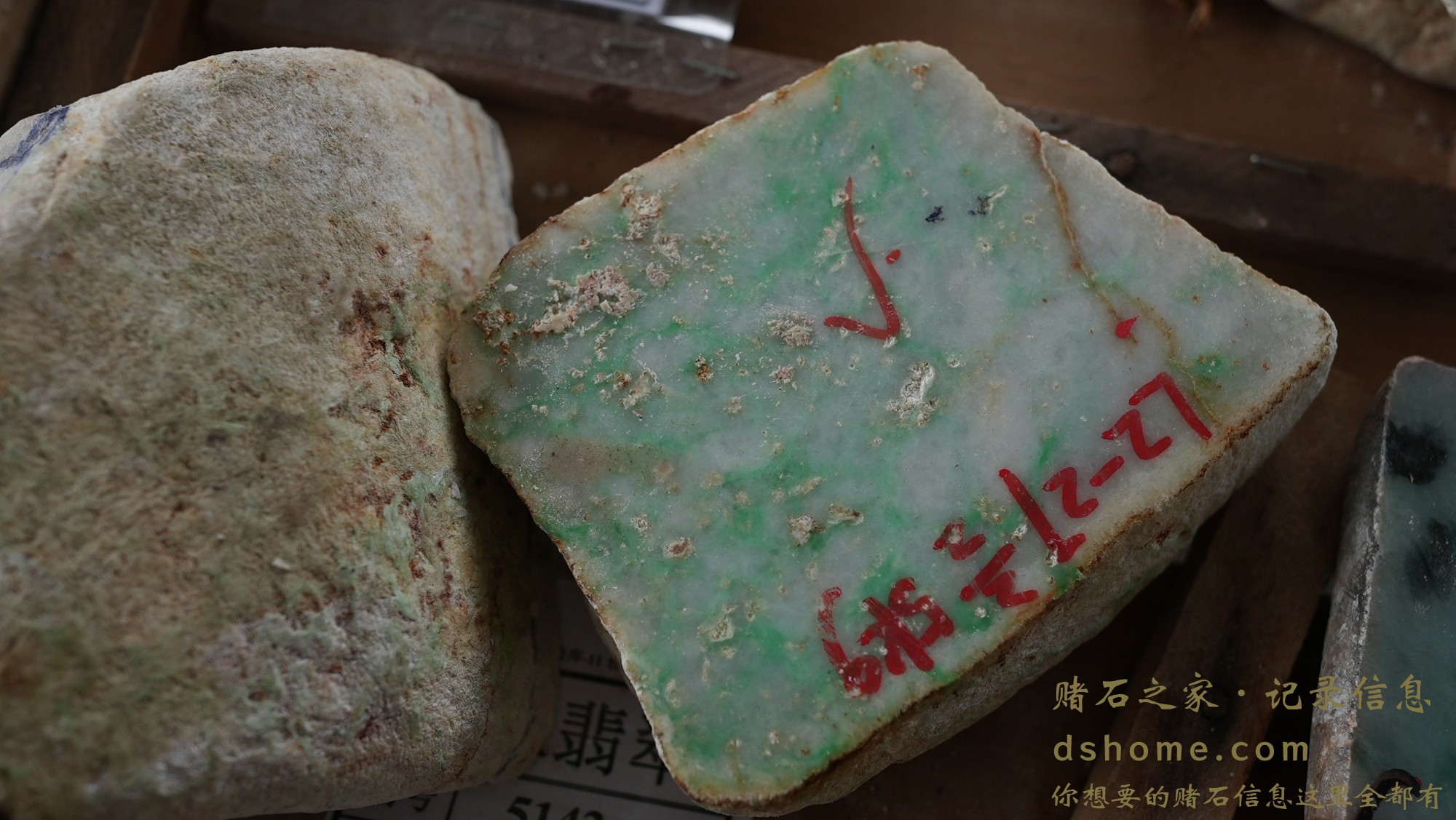 DSC01781.JPG