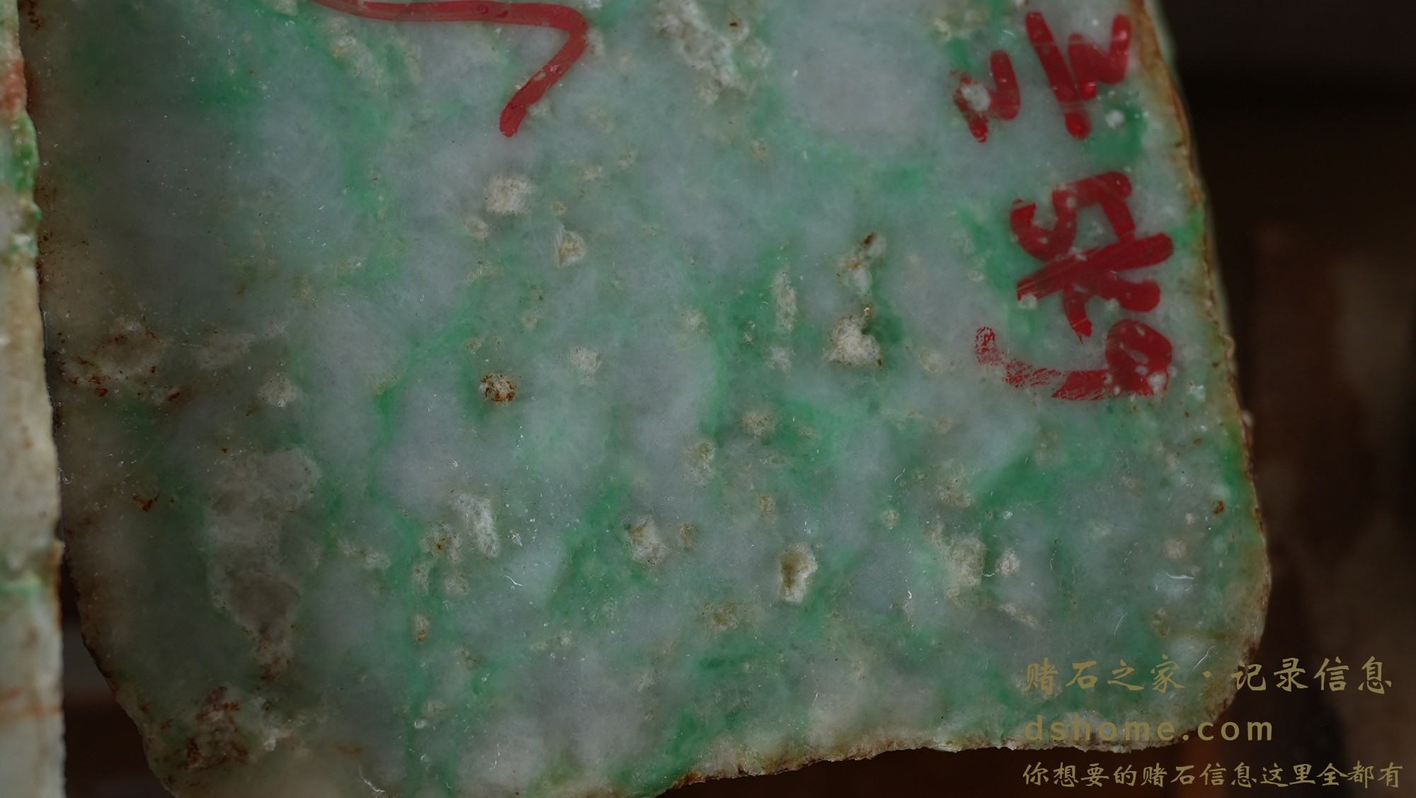 DSC01785.JPG