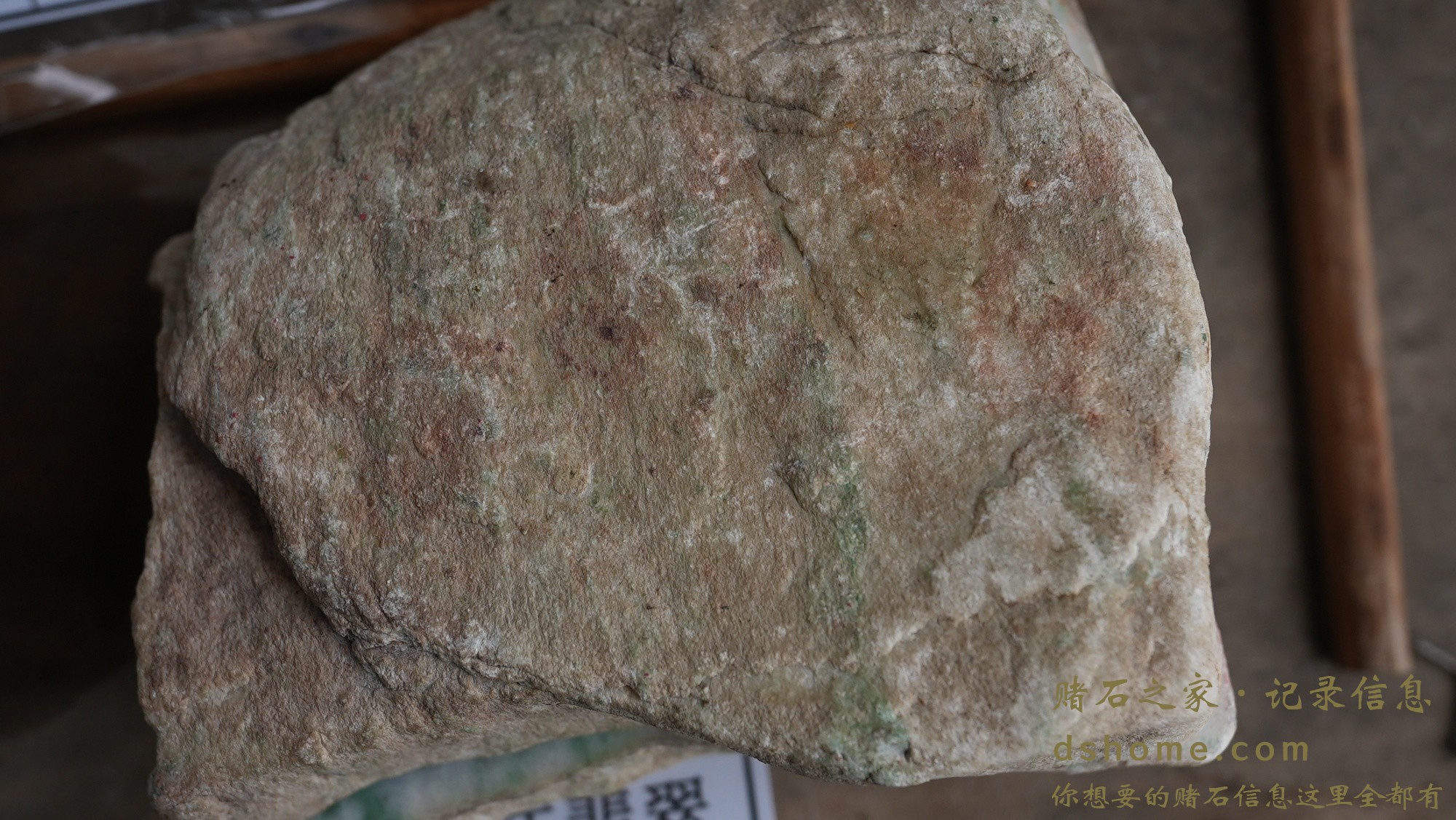 DSC01954.JPG