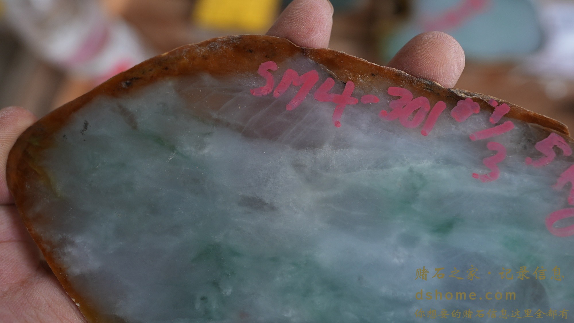DSC02014.JPG