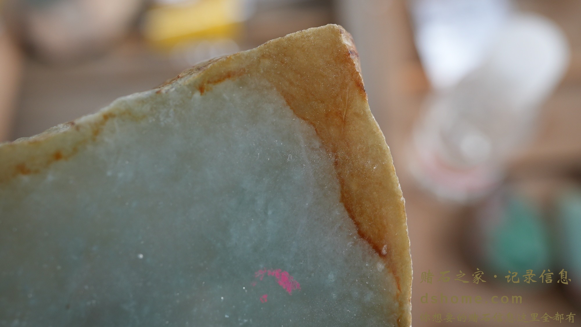 DSC02093.JPG