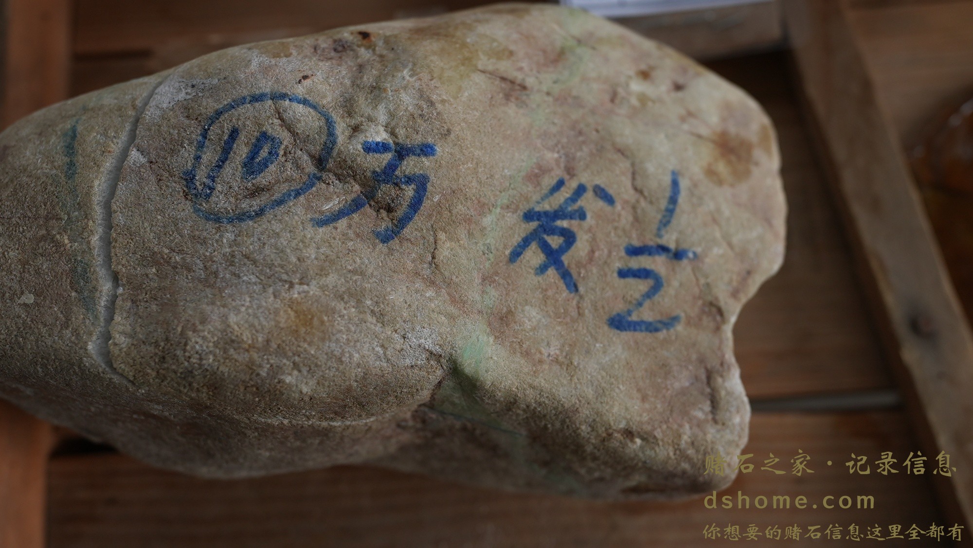 DSC02123.JPG