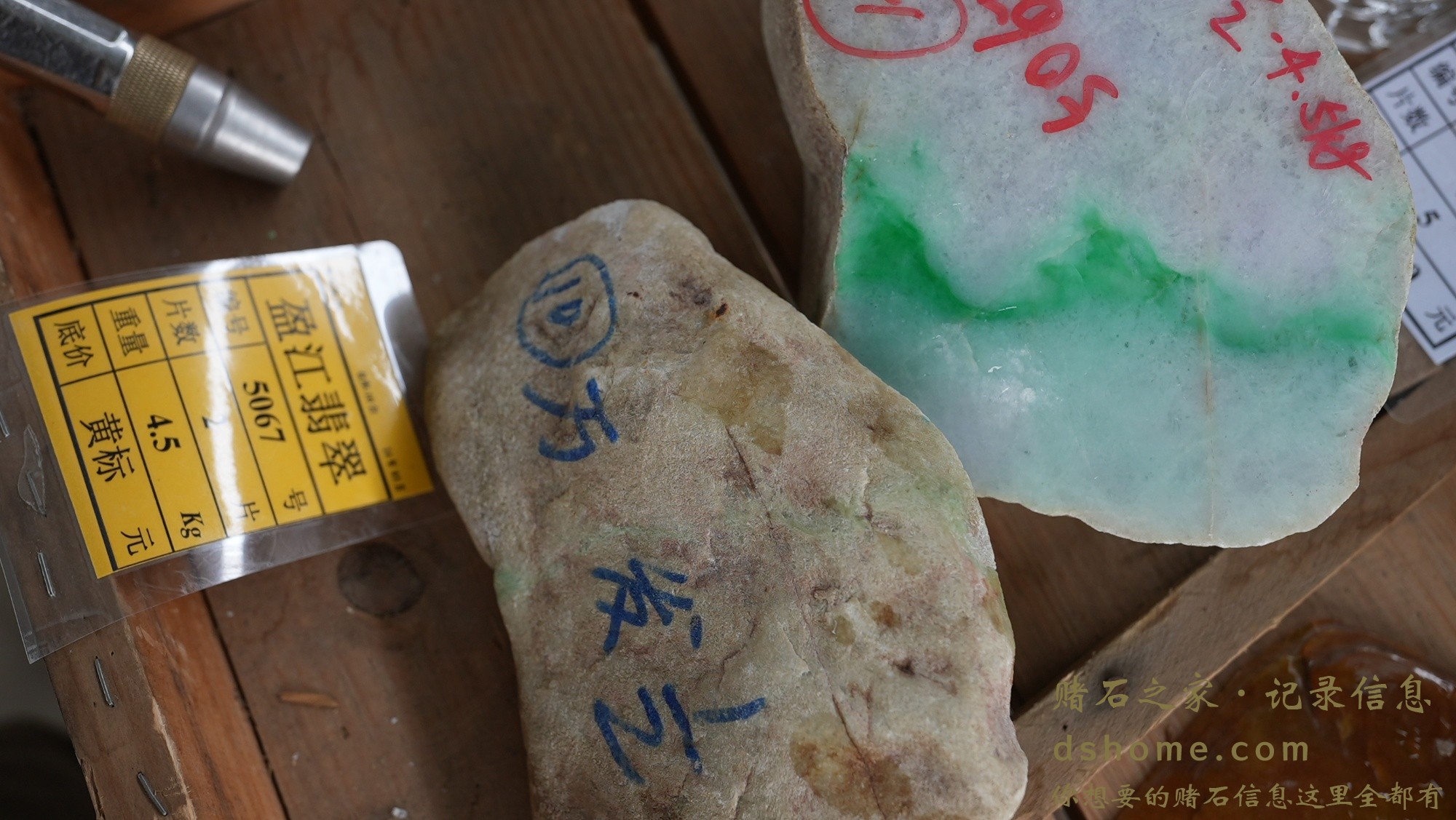 DSC02130.JPG