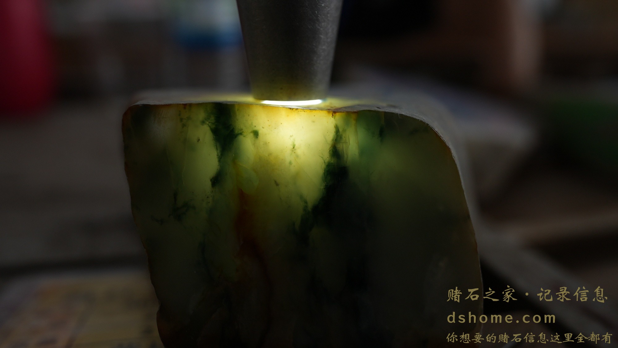 DSC02212.JPG