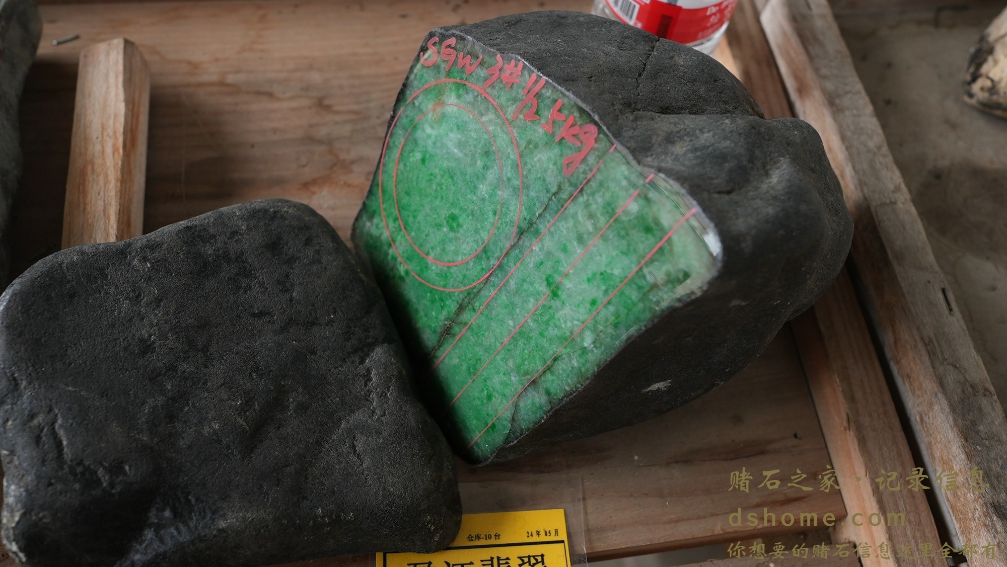 DSC02345.JPG