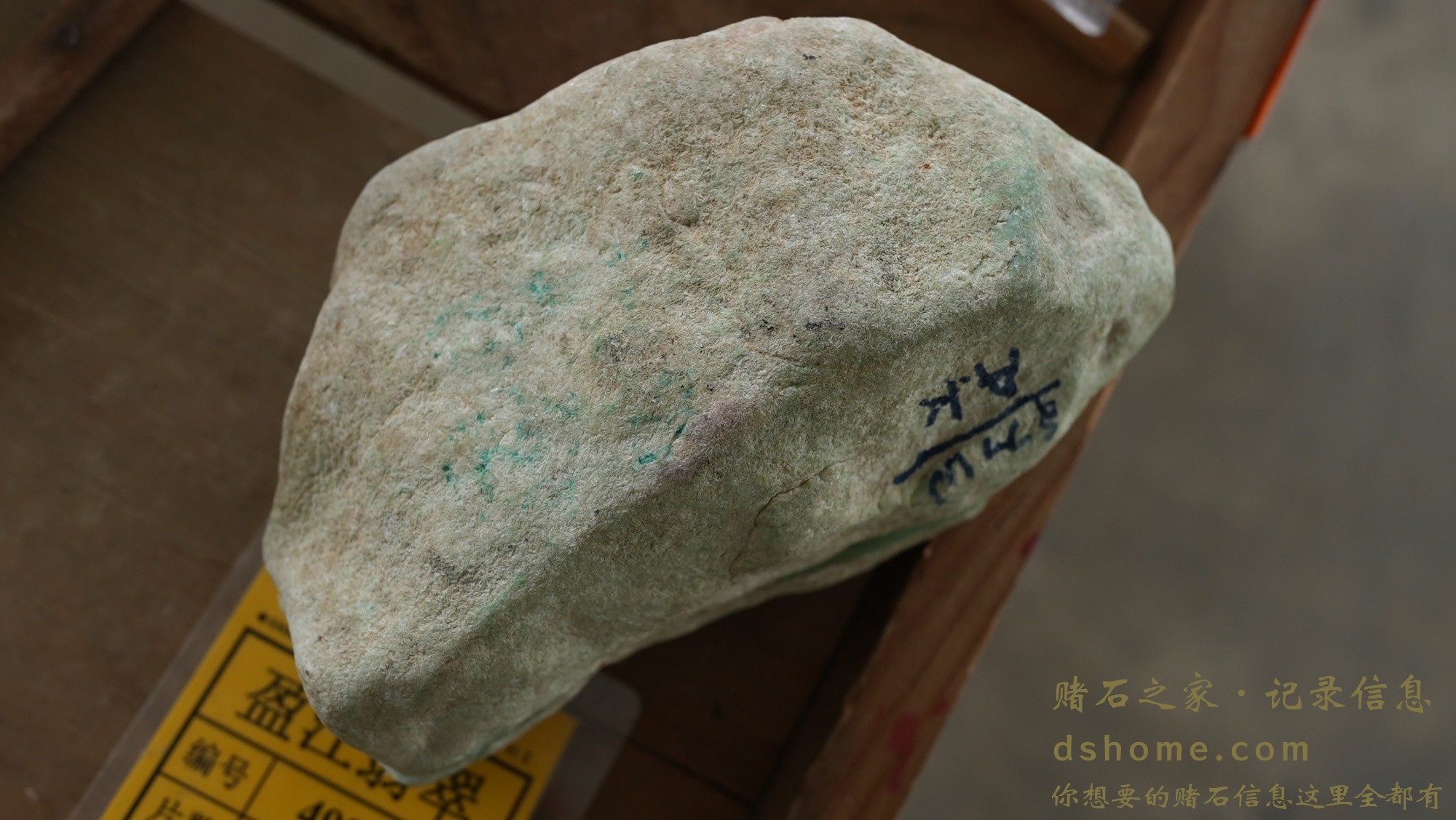 DSC02489.JPG
