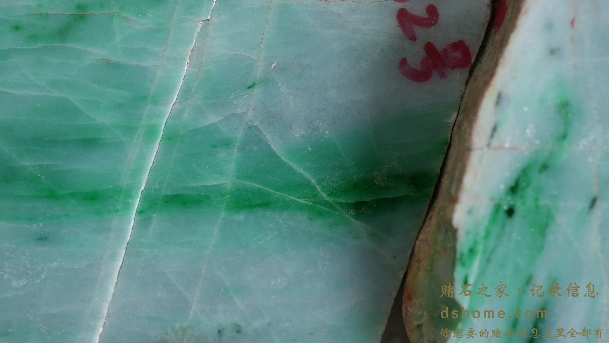 DSC02640.JPG