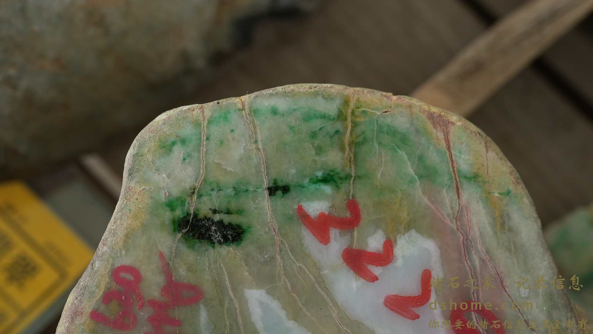 DSC02814.JPG