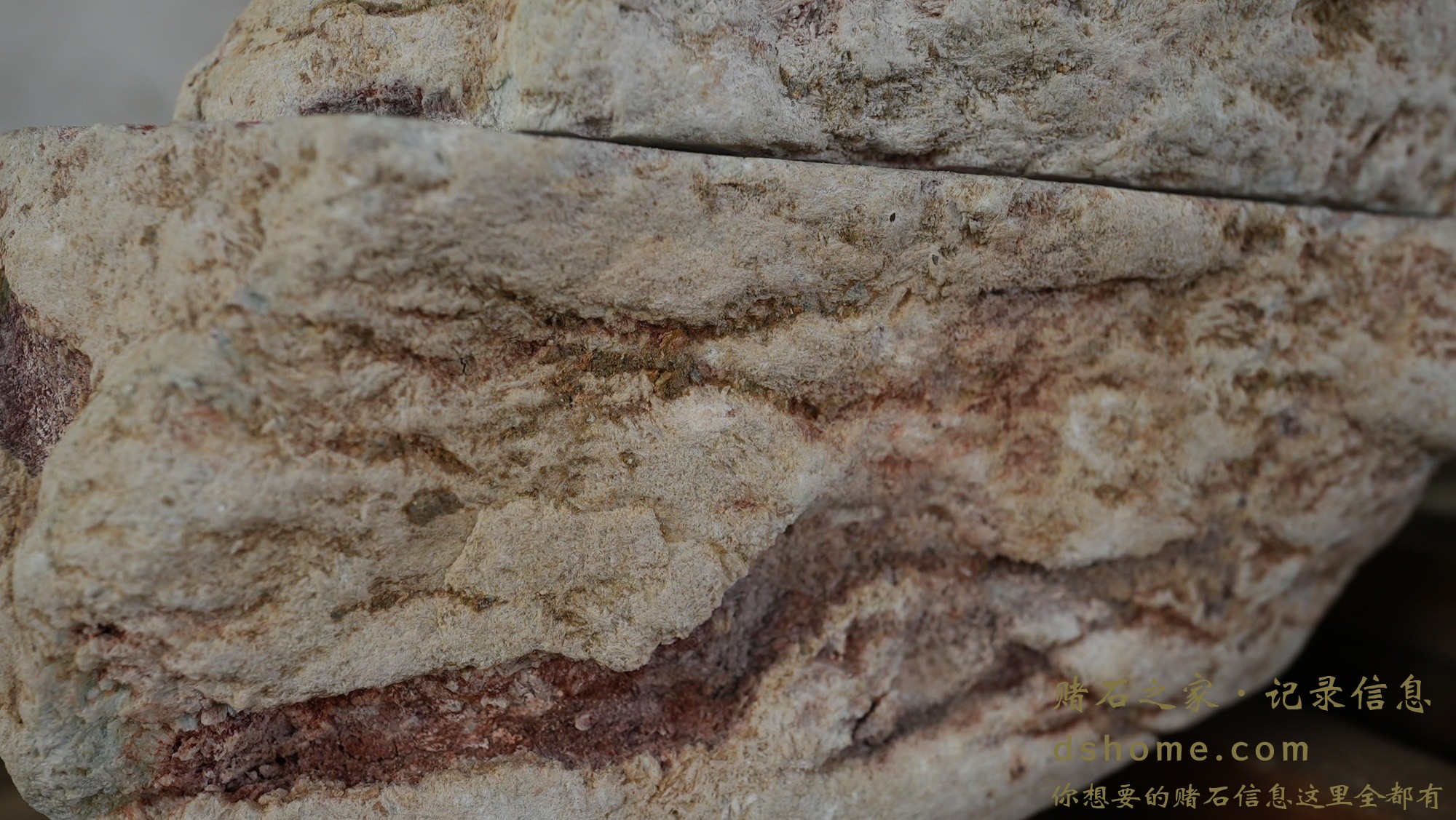 DSC02854.JPG