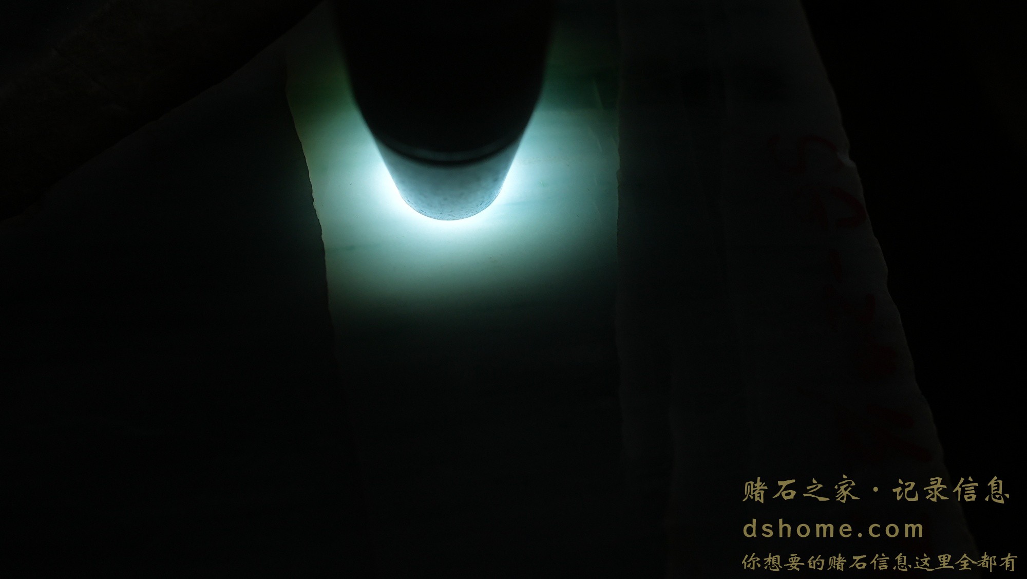 DSC02972.JPG