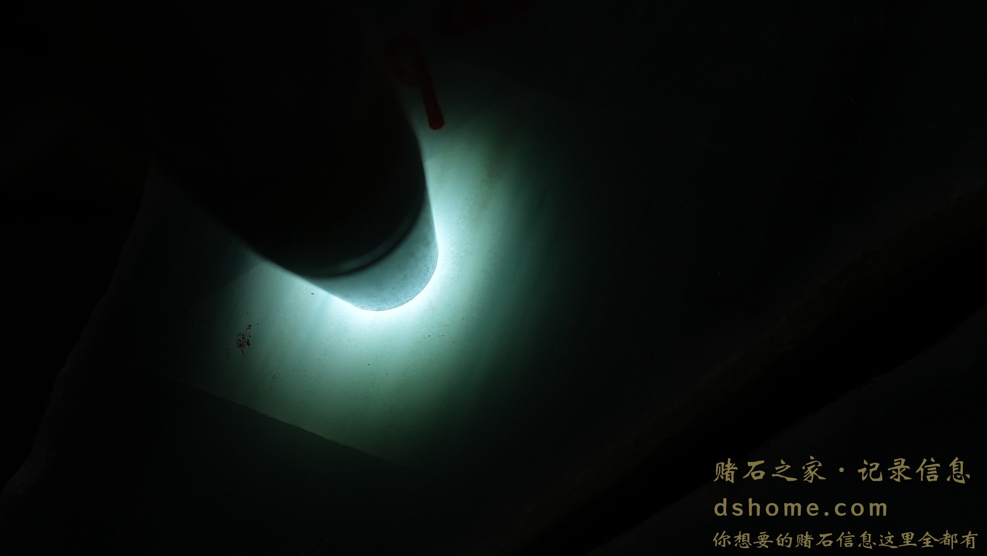 DSC02977.JPG
