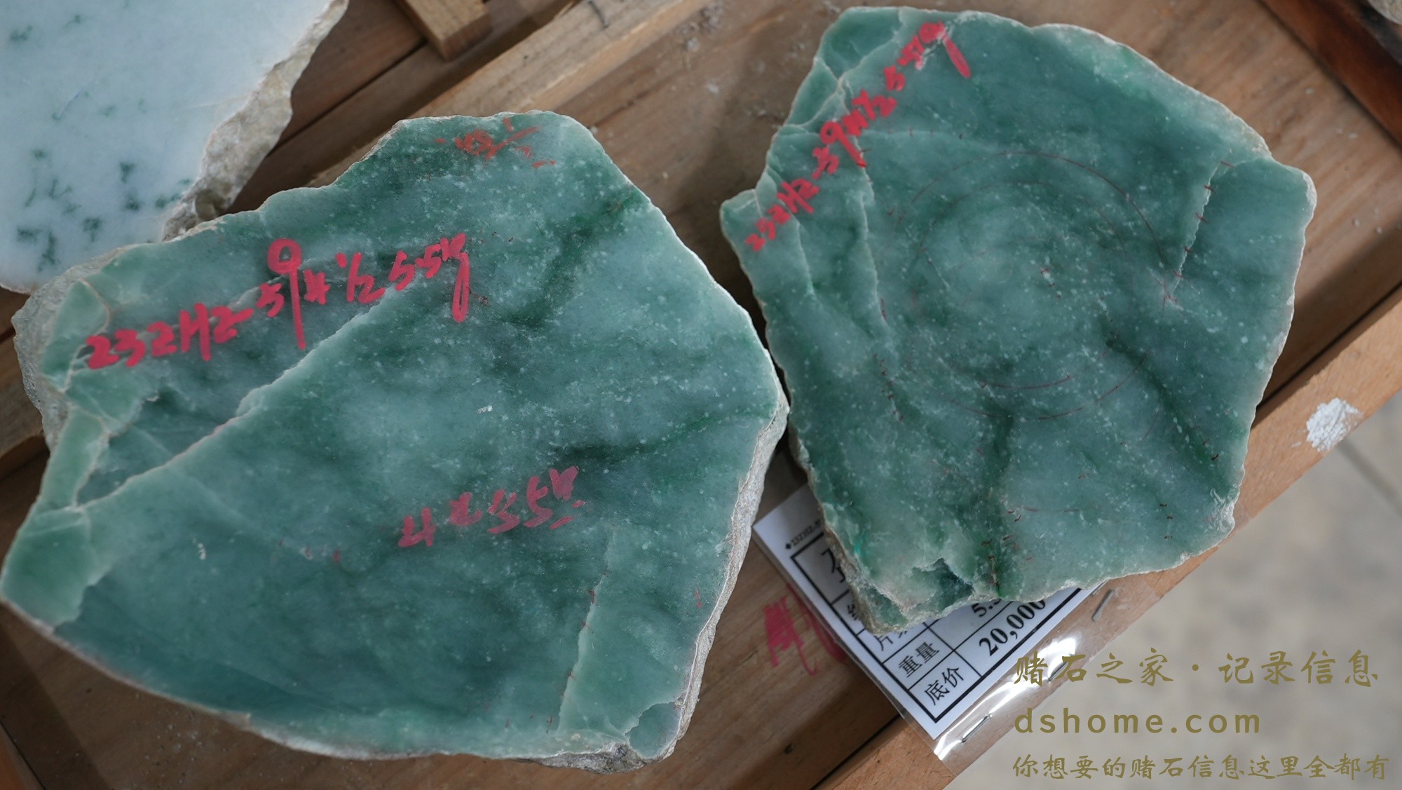 DSC03185.JPG