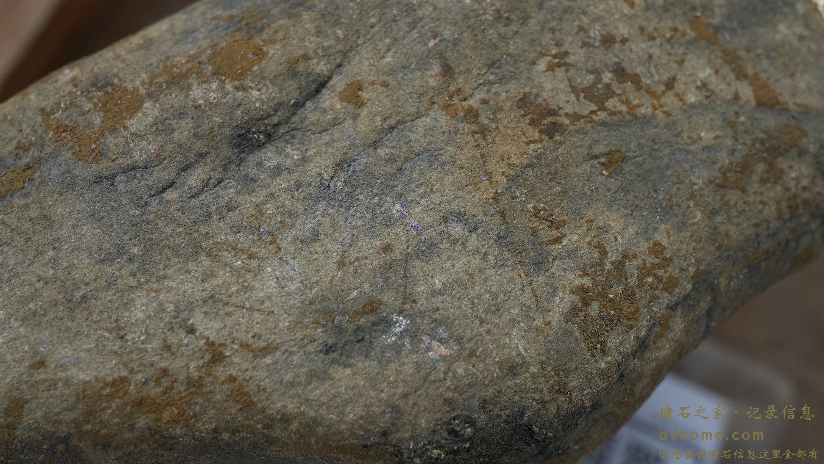 DSC03438.JPG